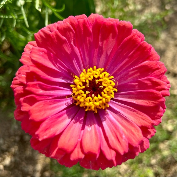 Meet the Posher Other - Meet your Posher, Tabitha